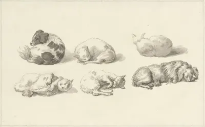 Studies van liggende honden en katten