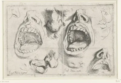 Studies van neus en mond