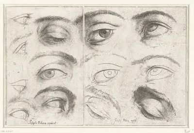 Studies van ogen