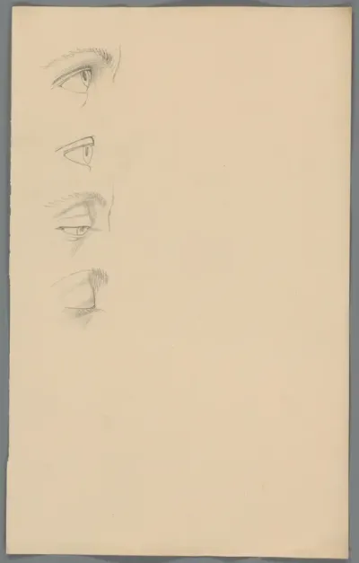 Studies van ogen