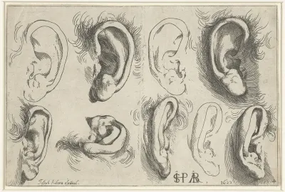 Studies van oren