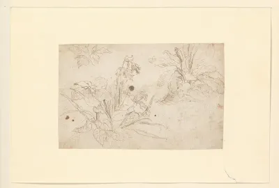 Studies van planten