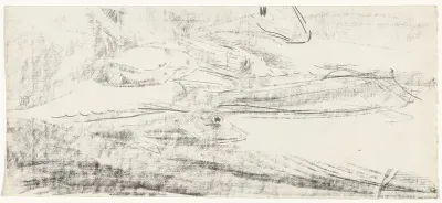 Studies van ponen
