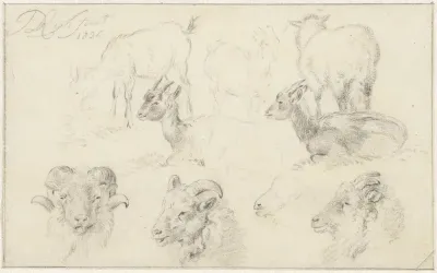 Studies van schapen en geiten