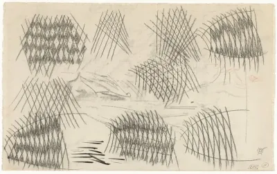 Studies van schubben