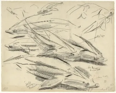 Studies van sterletten, met kleurnotities