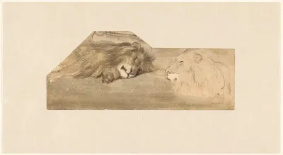 Studies van twee leeuwen