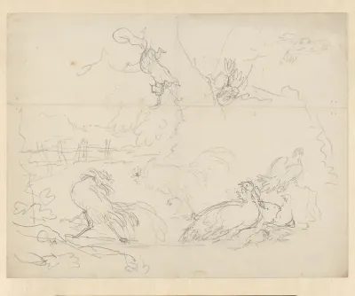 Studies van vechtende hanen en kippen