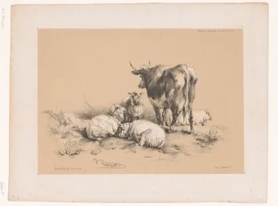 Studies van vier schapen en een koe