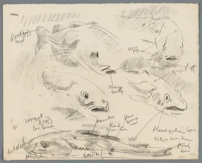 Studies van vissen