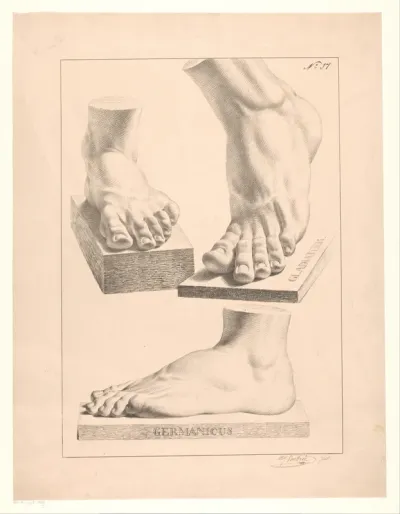 Studies van voeten