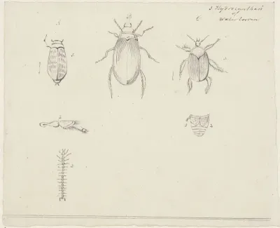 Studies van watertorren