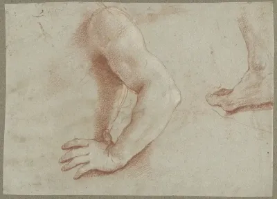Studies voor lichaamsdelen van de heilige Floriaan