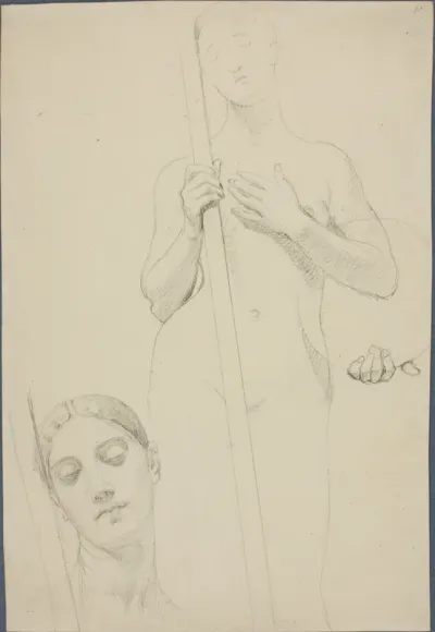 Study