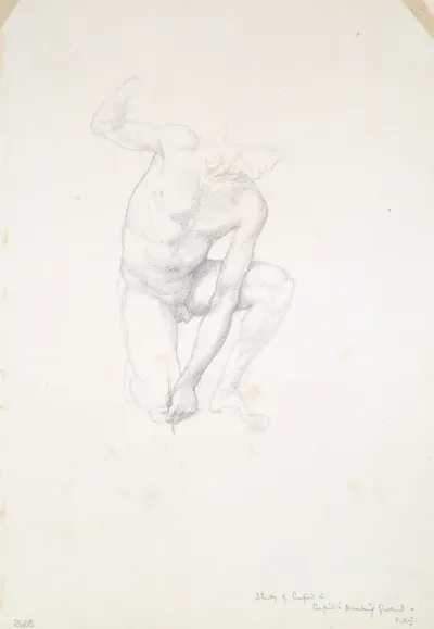 Study for Cupid