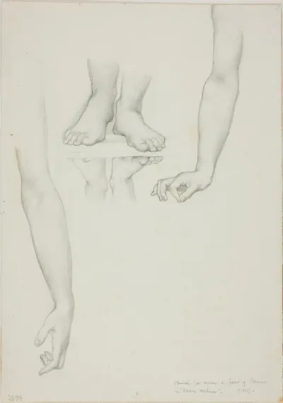 Study for Mirror of Venus: Arms and Feet of Venus