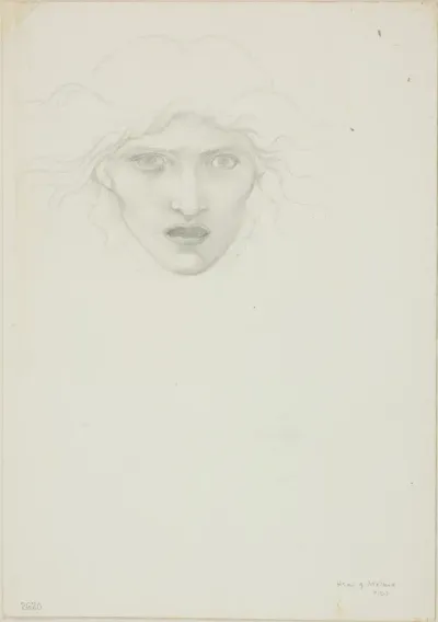 Study for Rondanini Medusa