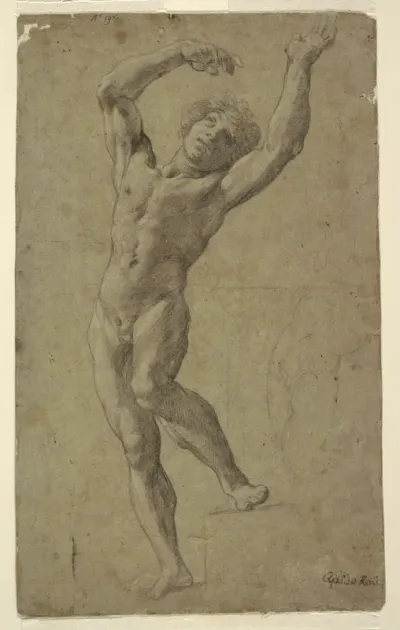 Study for St. Sebastian, Museo Pomarici Santomasi, Puglia, Italy