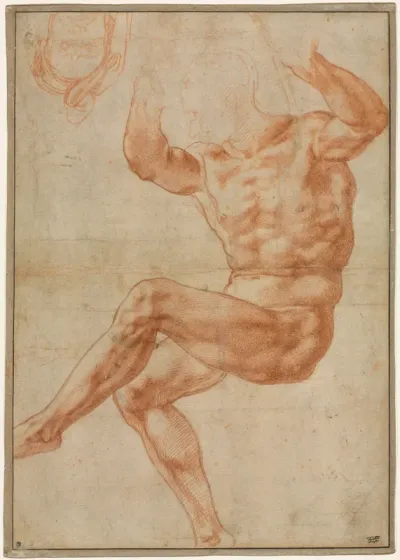 Study for the Nude Youth over the Prophet Daniel, for the Sistine Ceiling