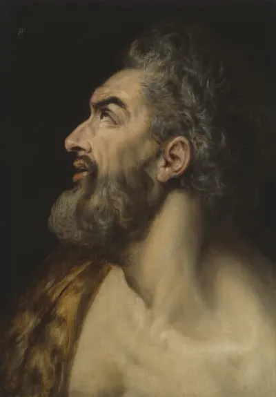 Study Head of a Bearded Man
