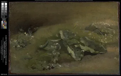 Study of a Burdock
