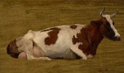 Study of a cow lying down.