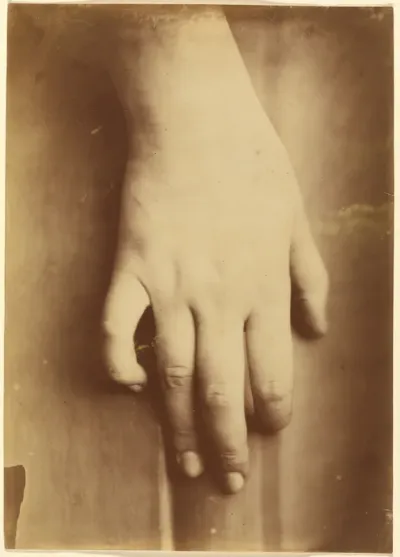Study of a Hand