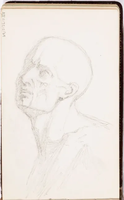 Study of a head