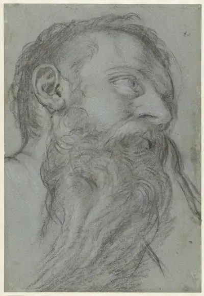 Study of a Head of a Prophet