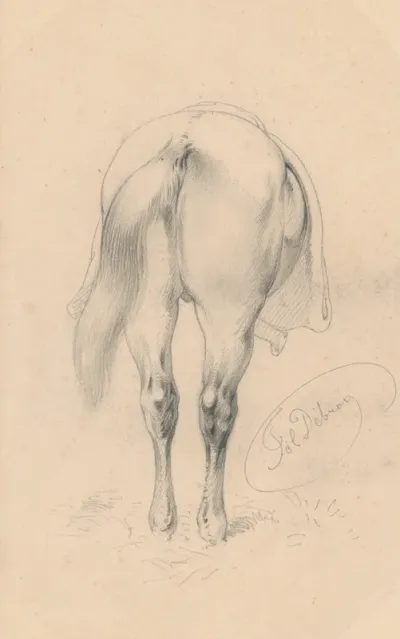 Study of a Horse from Back