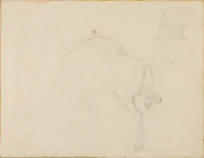 Study of a Horse Turning Its Head and Raising His Hind Leg