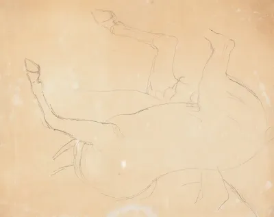 Study of a Horse [verso]
