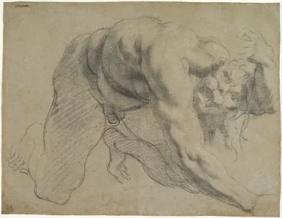 Study of a Male Figure