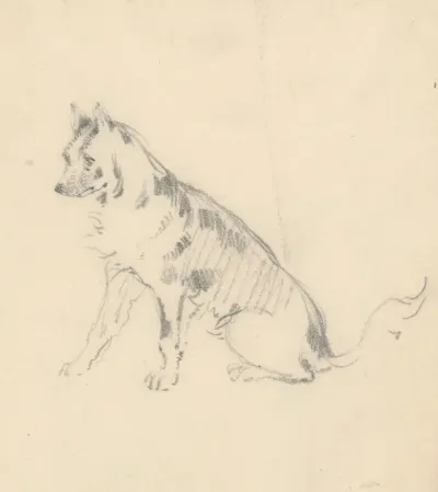Study of a Seated Dog
