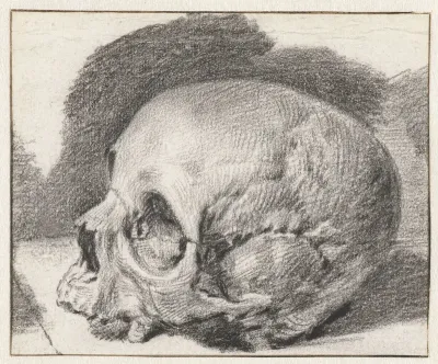 Study of a Skull, Facing Left