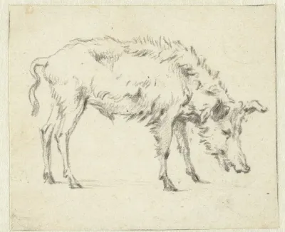 Study of a Standing Boar, Facing Right