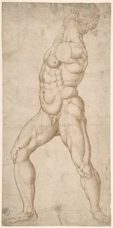 Study of a Standing Male Nude
