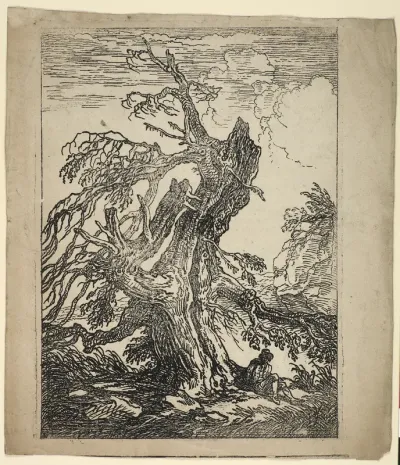 Study of a Tree
