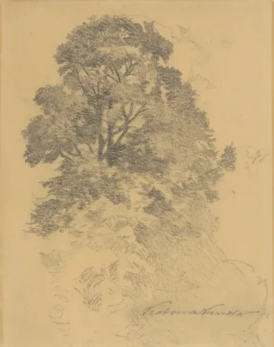 Study of a Tree