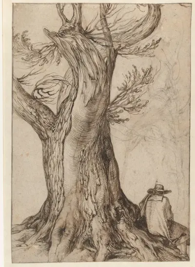 Study of a tree trunk