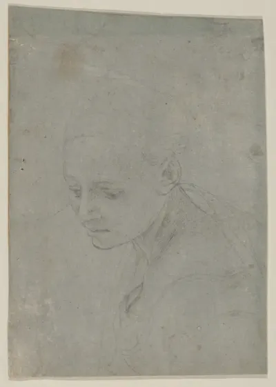 Study of a Young Woman in Three-quarter Bust-Length