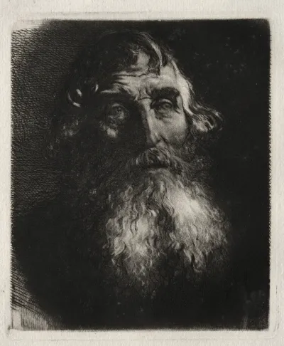 Study of an Old Man's Head