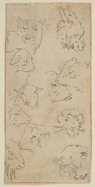 Study of animal heads