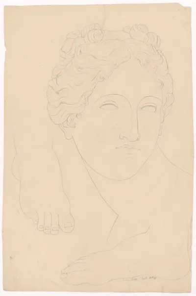 Study of Female Head According to Antique Cast