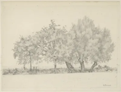 Study of Five Trees in a Landscape