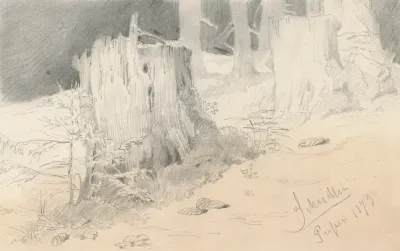 Study of Mountain Stumps