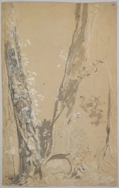 Study of Overgrown Trees; verso: Study of a Cypress and Two Overgrown Trees