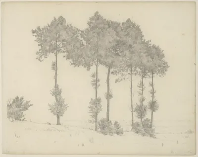 Study of Six Trees in a Landscape