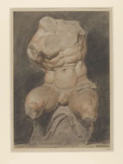 Study of the Belvedere Torso
