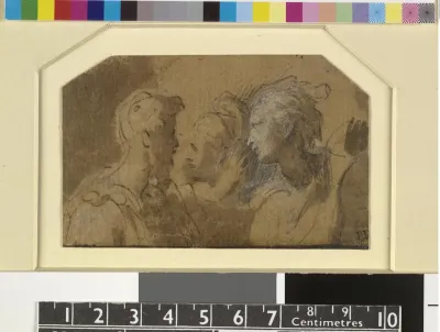 Study of the Heads